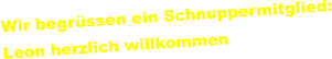 Wir begrüssen ein Schnuppermitglied: Leon herzlich willkommen
